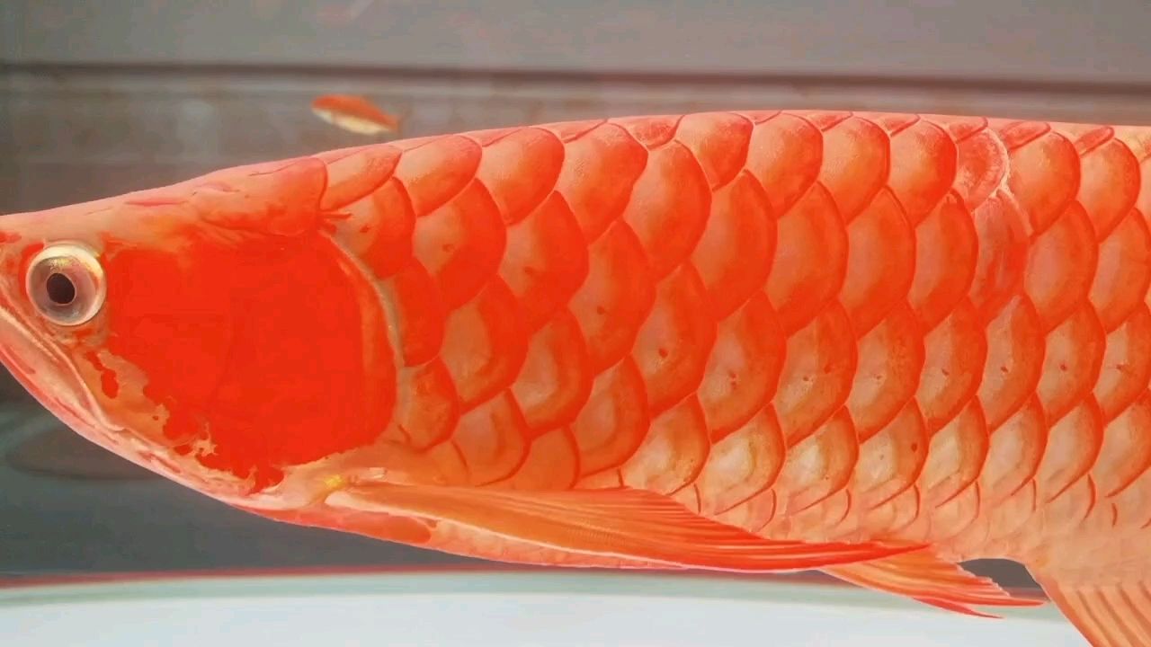 越來(lái)越好看了