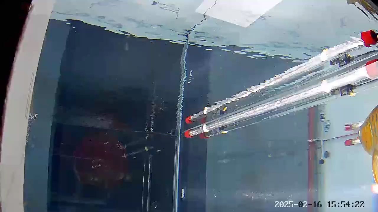 好久沒更新了