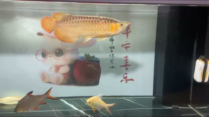 記錄一下明天給你房間裝修