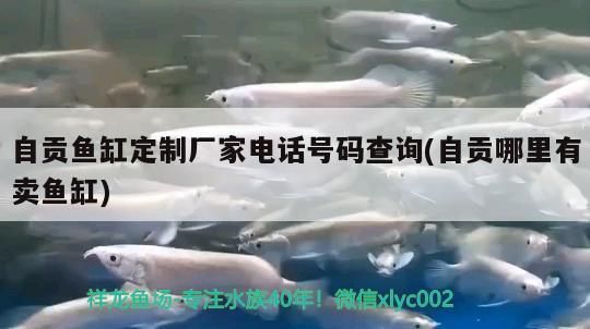 自貢魚缸定制廠家電話號碼查詢(自貢哪里有賣魚缸)