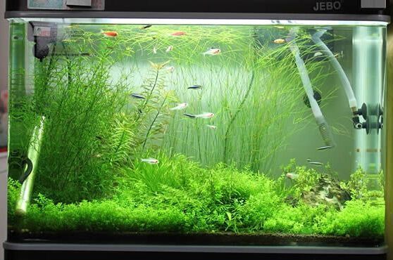 長治清洗魚缸服務公司有哪些電話(長治清洗魚缸服務公司有哪些電話號碼)