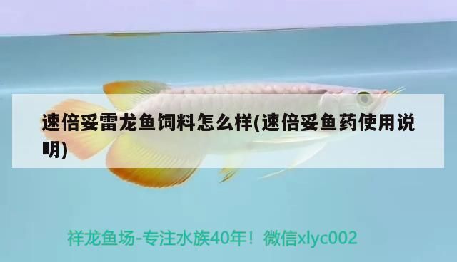 速倍妥雷龍魚飼料怎么樣(速倍妥魚藥使用說明) 速倍妥雷龍魚飼料怎么樣(速倍妥魚藥使用說明) 速倍妥 第2張