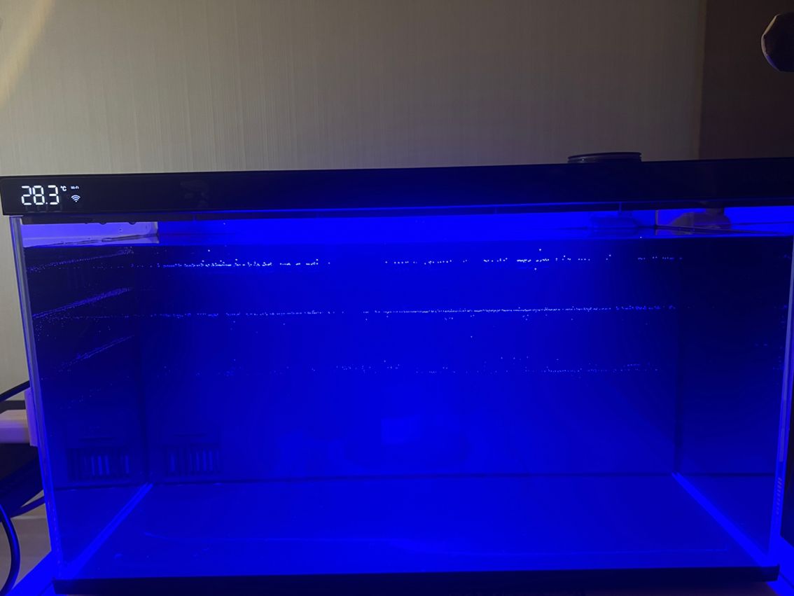 合作龍魚水族店(龍魚之家水族館)