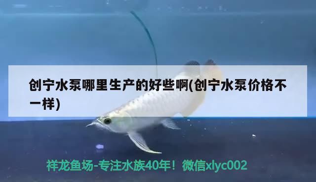 創寧水泵哪里生產的好些啊(創寧水泵價格不一樣) 創寧水泵哪里生產的好些啊(創寧水泵價格不一樣) 創寧水族