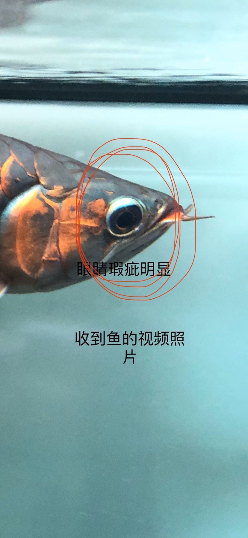 孟吉爾就是這作風？？ 孟吉爾就是這作風？？ 廣州孟吉爾 第8張