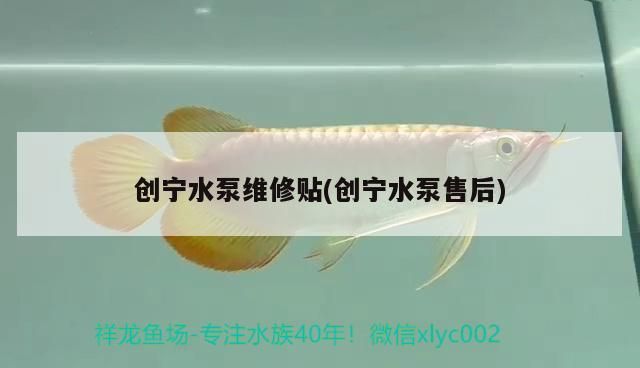 創寧水泵維修貼(創寧水泵售后)