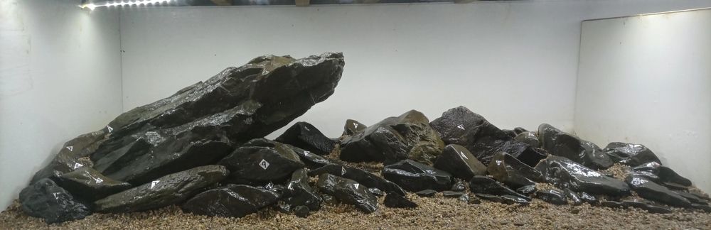 免費造景，滿意發貨。 石頭4元一斤包郵。