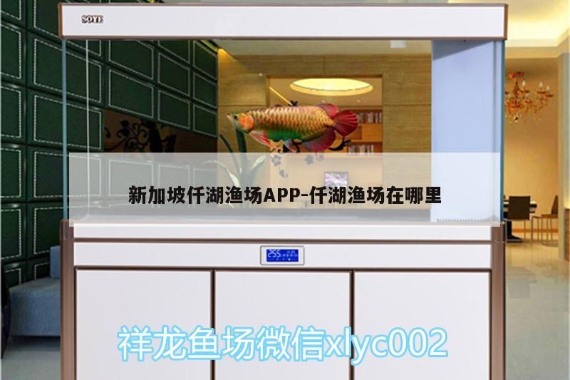 新加坡仟湖漁場APP:仟湖漁場在哪里