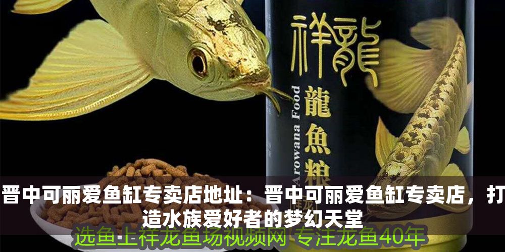 晉中可麗愛魚缸專賣店地址：晉中可麗愛魚缸專賣店，打造水族愛好者的夢幻天堂