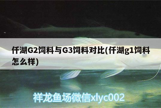 魚缸用增氧泵價格是多少:魚缸增氧機-xtrac增氧機-xtrac增氧機 仟湖G2飼料與G3飼料對比(仟湖g1飼料怎么樣) 仟湖 仟湖G2飼料與G3飼料對比(仟湖g1飼料怎么樣) 仟湖G2飼料與G3飼料對比(仟湖g1飼料怎么樣) 仟湖
