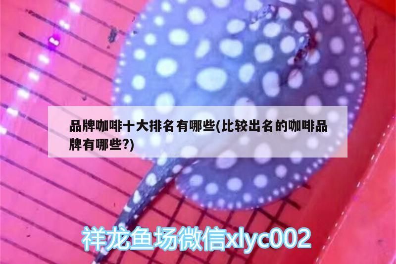 品牌咖啡十大排名有哪些(比較出名的咖啡品牌有哪些?) 品牌咖啡十大排名有哪些(比較出名的咖啡品牌有哪些?) 馬來西亞咖啡