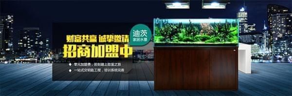 水族館投資大概多少錢(qián)：投資一個(gè)小型水族館可能需要數(shù)十萬(wàn)到數(shù)百萬(wàn)元到數(shù)百萬(wàn)元