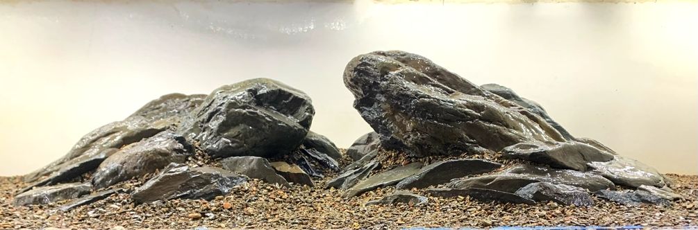 免費造景，滿意后發貨。