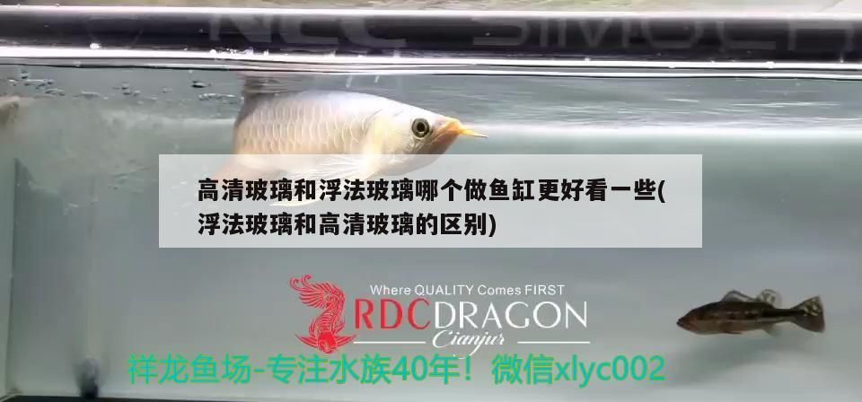 高清玻璃和浮法玻璃哪個做魚缸更好看一些(浮法玻璃和高清玻璃的區別)