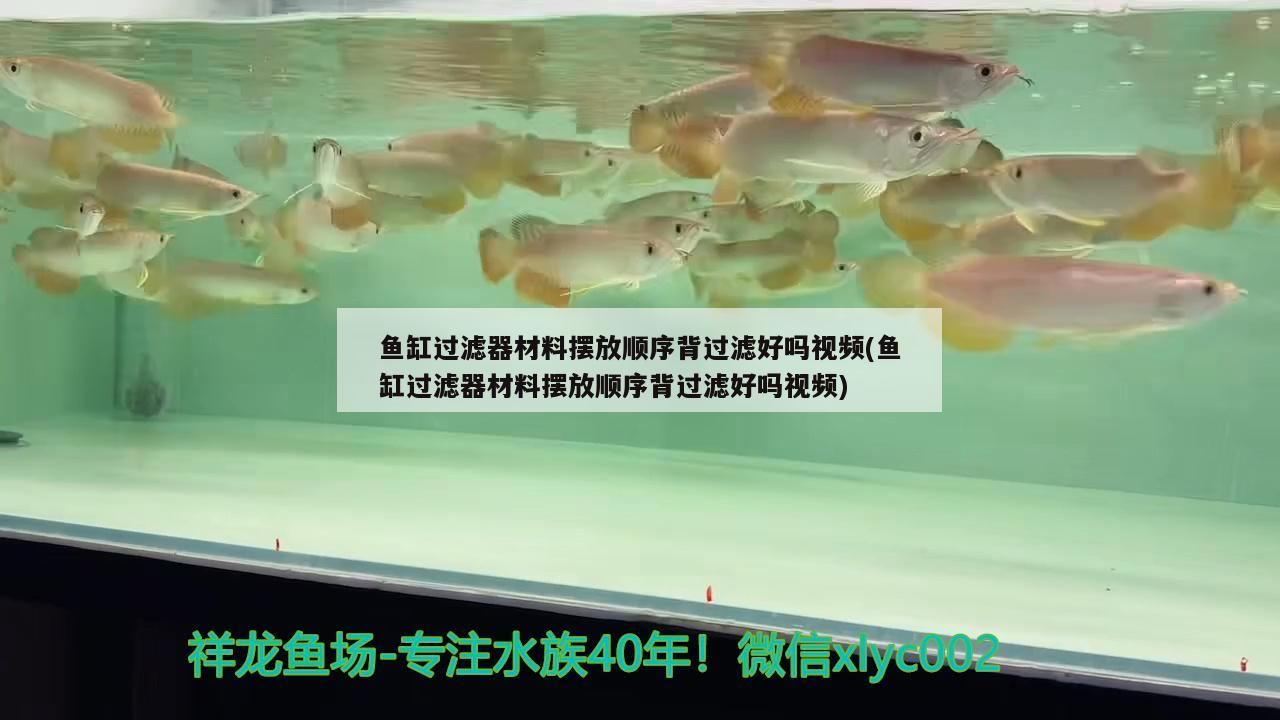 魚缸過(guò)濾器材料擺放順序背過(guò)濾好嗎視頻(魚缸過(guò)濾器材料擺放順序背過(guò)濾好嗎視頻)