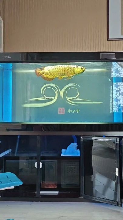 蛇年如魚得水