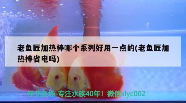 老魚匠加熱棒哪個系列好用一點的(老魚匠加熱棒省電嗎)