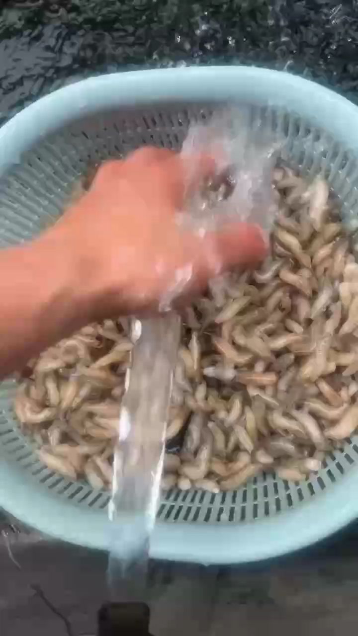做好