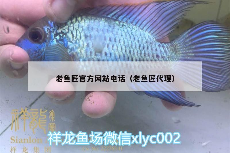 老魚匠官方網(wǎng)站電話（老魚匠代理）