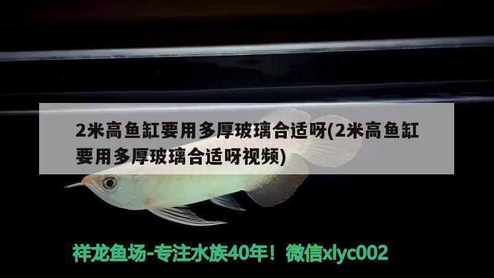 龍魚的珠鱗是否亮，可以從以下幾個方面進行觀察，如何判斷龍魚珠鱗是否亮