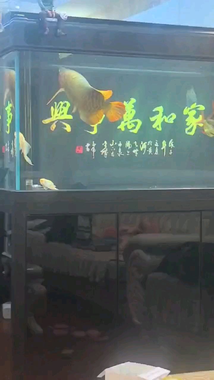 就是不吃