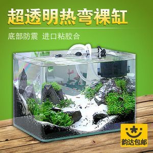 草缸用什么濾材比較好（常用的草缸濾材及其特點）