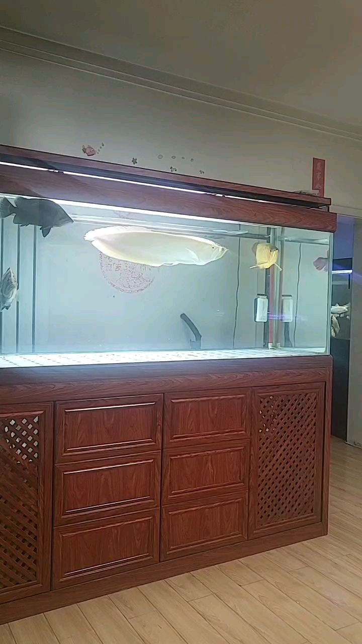 正月十七