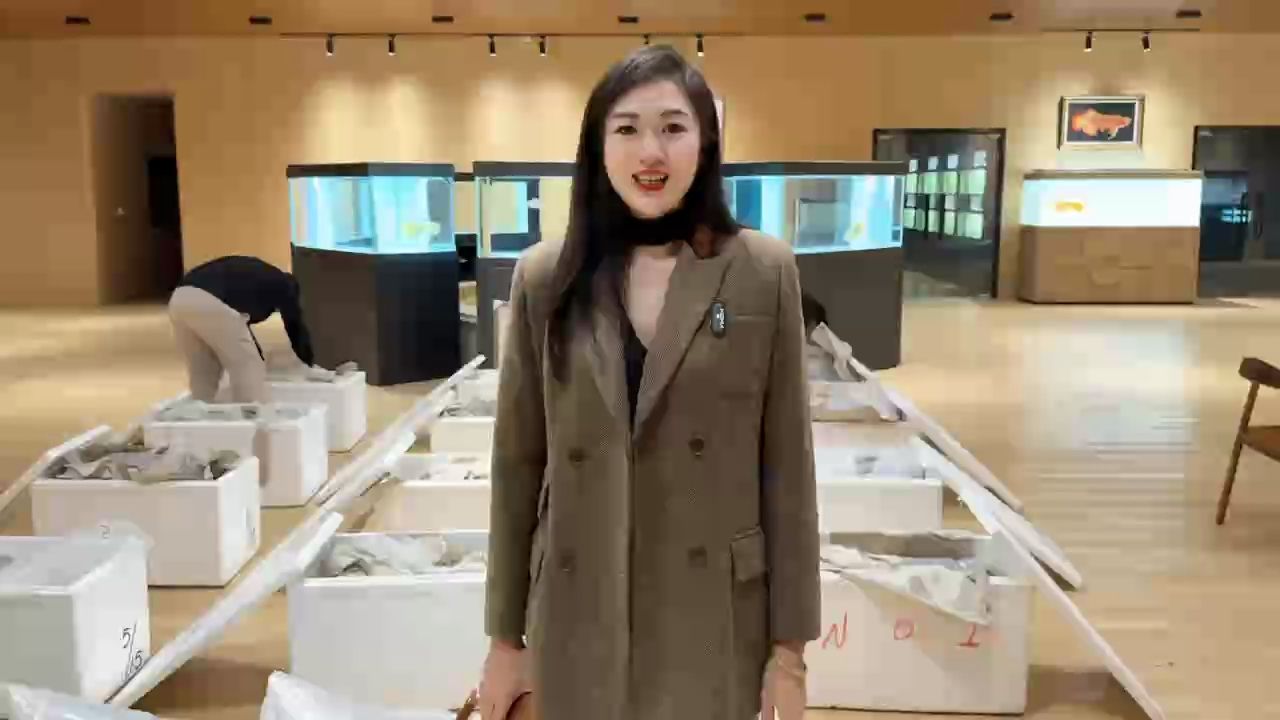 真正的好魚無需華麗的修辭 讓我們一起來欣賞這7條來自印尼大湖SUHAID的老血統紅龍魚吧！ #萬隆天王紅龍 #龍魚 #紅龍 #觀賞魚 #水族
