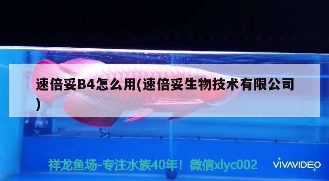 速倍妥B4怎么用(速倍妥生物技術有限公司) 速倍妥B4怎么用(速倍妥生物技術有限公司) 速倍妥