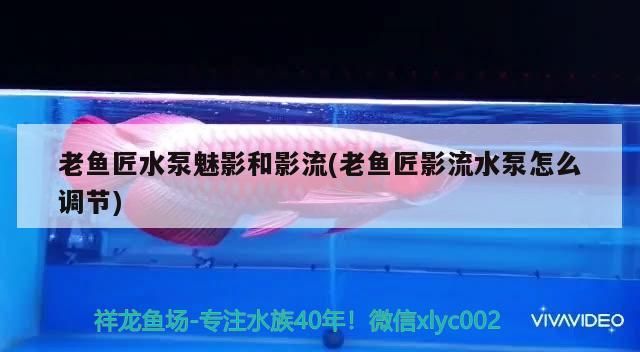 老魚匠水泵魅影和影流(老魚匠影流水泵怎么調(diào)節(jié))