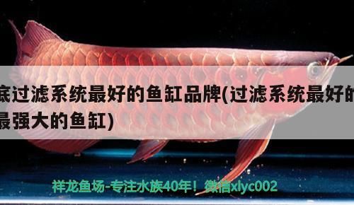 底過濾系統(tǒng)最好的魚缸品牌(過濾系統(tǒng)最好的最強(qiáng)大的魚缸)
