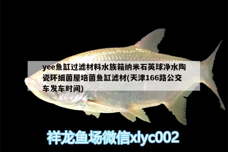 yee魚缸過濾材料水族箱納米石英球凈水陶瓷環細菌屋培菌魚缸濾材(天津166路公交車發車時間)