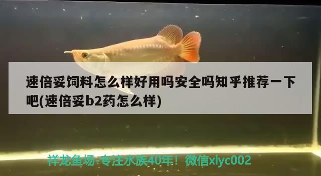 速倍妥飼料怎么樣好用嗎安全嗎知乎推薦一下吧(速倍妥b2藥怎么樣)