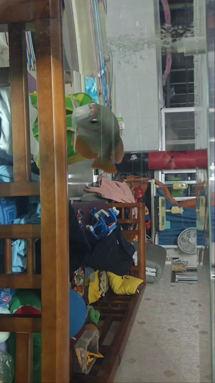 簡單的上濾都有空氣缸的感覺