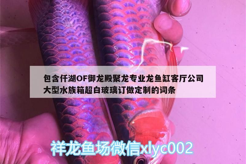 包含仟湖OF御龍殿聚龍專業龍魚缸客廳公司大型水族箱超白玻璃訂做定制的詞條