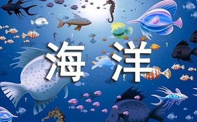 開個水族館的艱難經歷怎么寫作文：開個水族館的艱難經歷