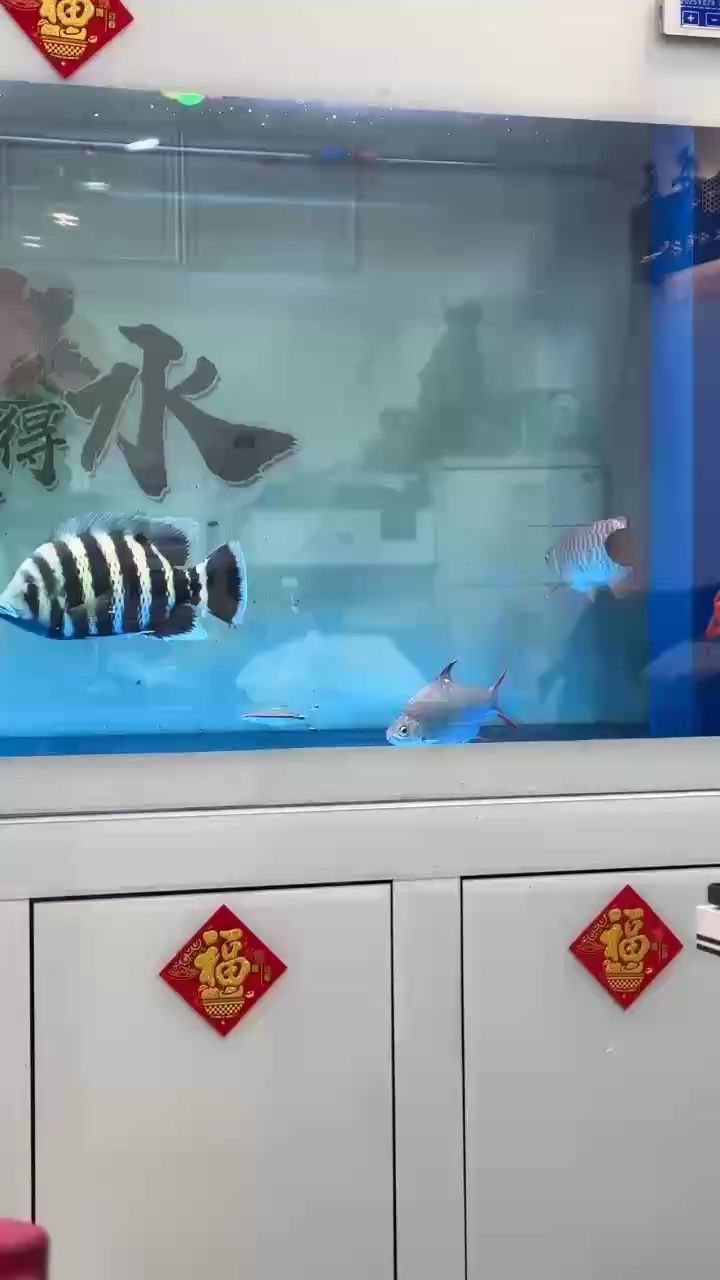 剛喂完，沒吃飽的狀態、