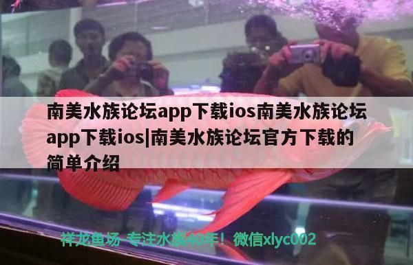 濟南哪里有定制魚缸的廠家啊（濟南什么地方做魚缸）
