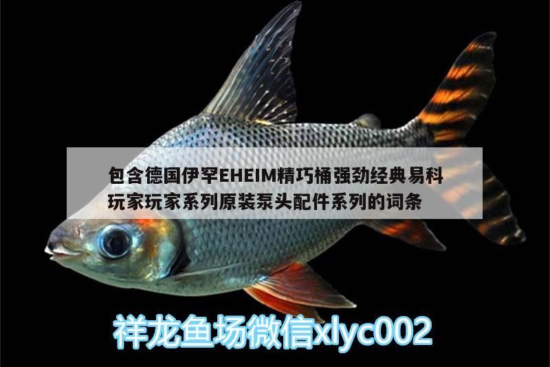 包含德國伊罕EHEIM精巧桶強(qiáng)勁經(jīng)典易科玩家玩家系列原裝泵頭配件系列的詞條 包含德國伊罕EHEIM精巧桶強(qiáng)勁經(jīng)典易科玩家玩家系列原裝泵頭配件系列的詞條 伊罕水族