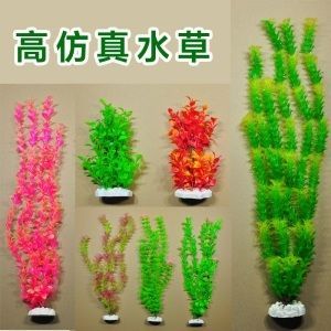 廣東水族批發市場在哪個位置啊（廣東水產市場的歷史演變）