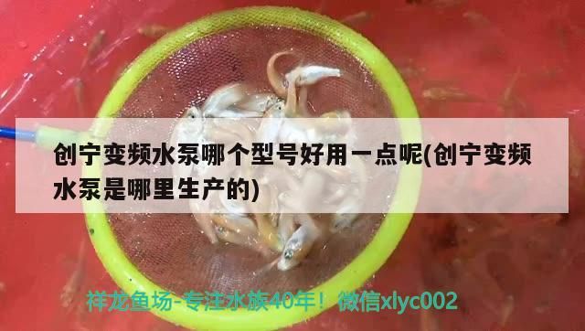 創(chuàng)寧變頻水泵哪個型號好用一點呢(創(chuàng)寧變頻水泵是哪里生產(chǎn)的)