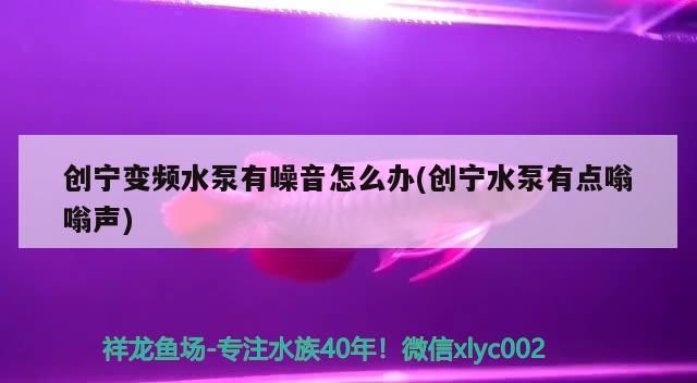 創寧變頻水泵有噪音怎么辦(創寧水泵有點嗡嗡聲)