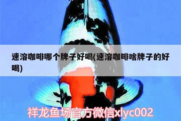 速溶咖啡哪個牌子好喝(速溶咖啡啥牌子的好喝)