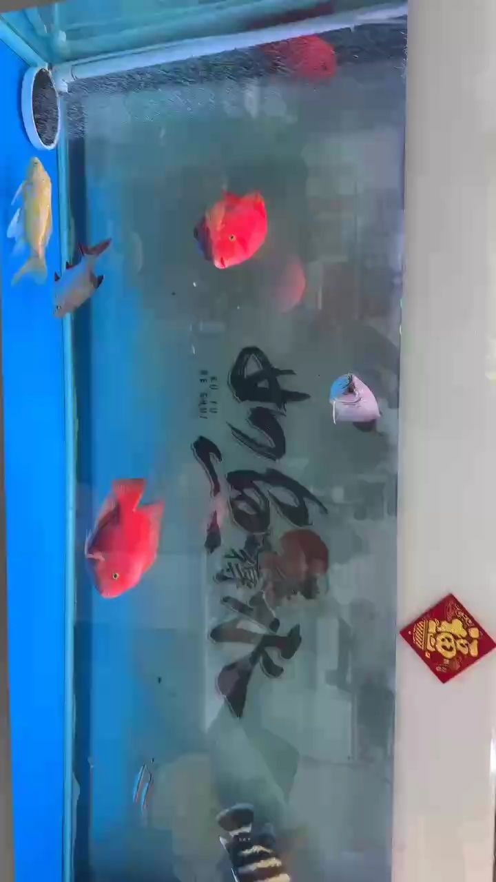 請大家橫屏觀看、