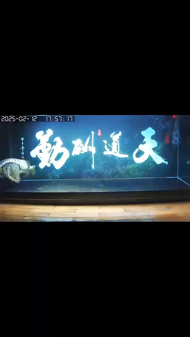 2025年第一次產卵
