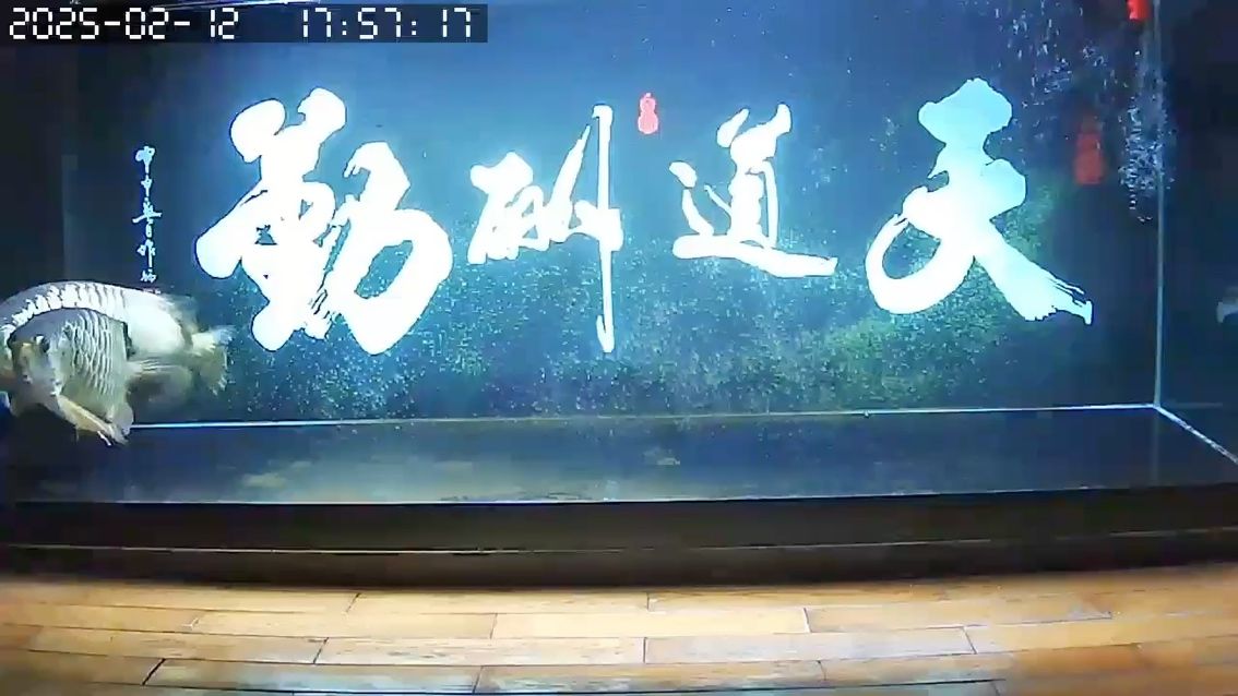 2025年的第一次產卵