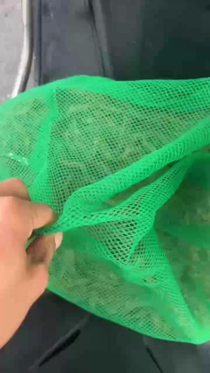 真的愛