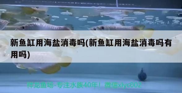 新魚缸用海鹽消毒嗎(新魚缸用海鹽消毒嗎有用嗎)