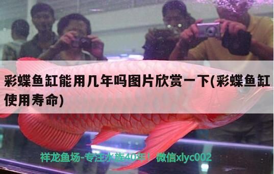 珠海魚缸龍魚世家水族館優惠（珠海水族館 龍魚世家水族館專注）