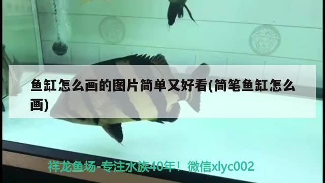 魚缸怎么畫的圖片簡單又好看(簡筆魚缸怎么畫)